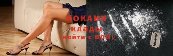 гашик Аркадак
