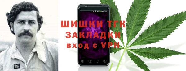 гашик Аркадак