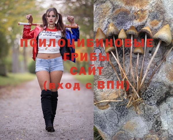 бошки Арсеньев