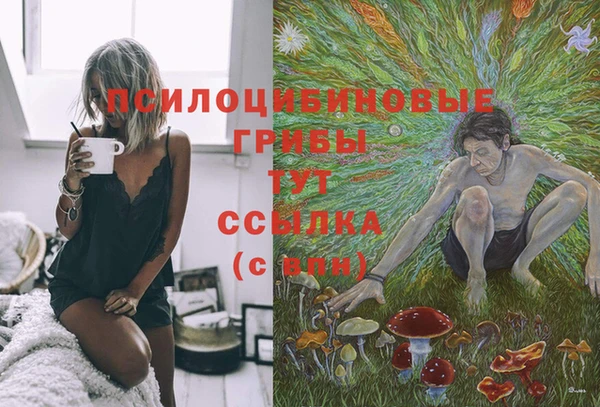 гашик Аркадак