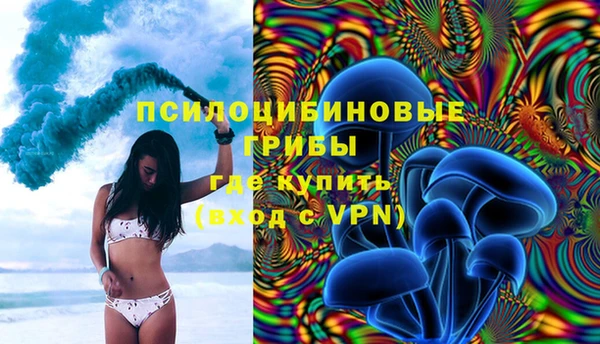 бошки Арсеньев